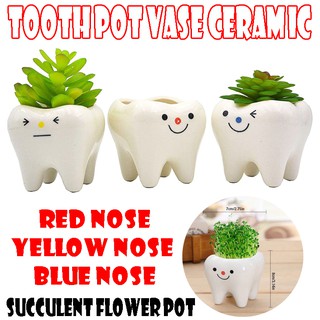Cute tooth pot vase ceramic cartoon tooth flower pot succulent flower pot home decoration crafts