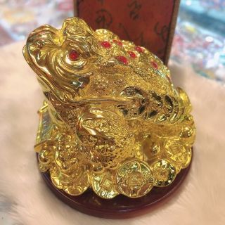 Prosperity gold money Frog Lucky charm