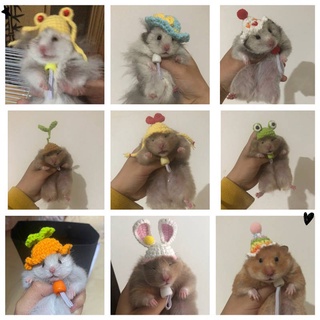 Djungarian Hamster Hamster Hat Crochet Wool Small Hat Customized Pet Small Hat Small Bag Small Clothes Pet Supplies & Pet Dog products Pet fashion products (1)