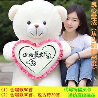 Boutique plush teddy bear doll panda hug pillow girl’s day gift ragdoll extra-large