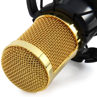 ESN BM-800 Dynamic Condenser Sound Recording Microphone (4)