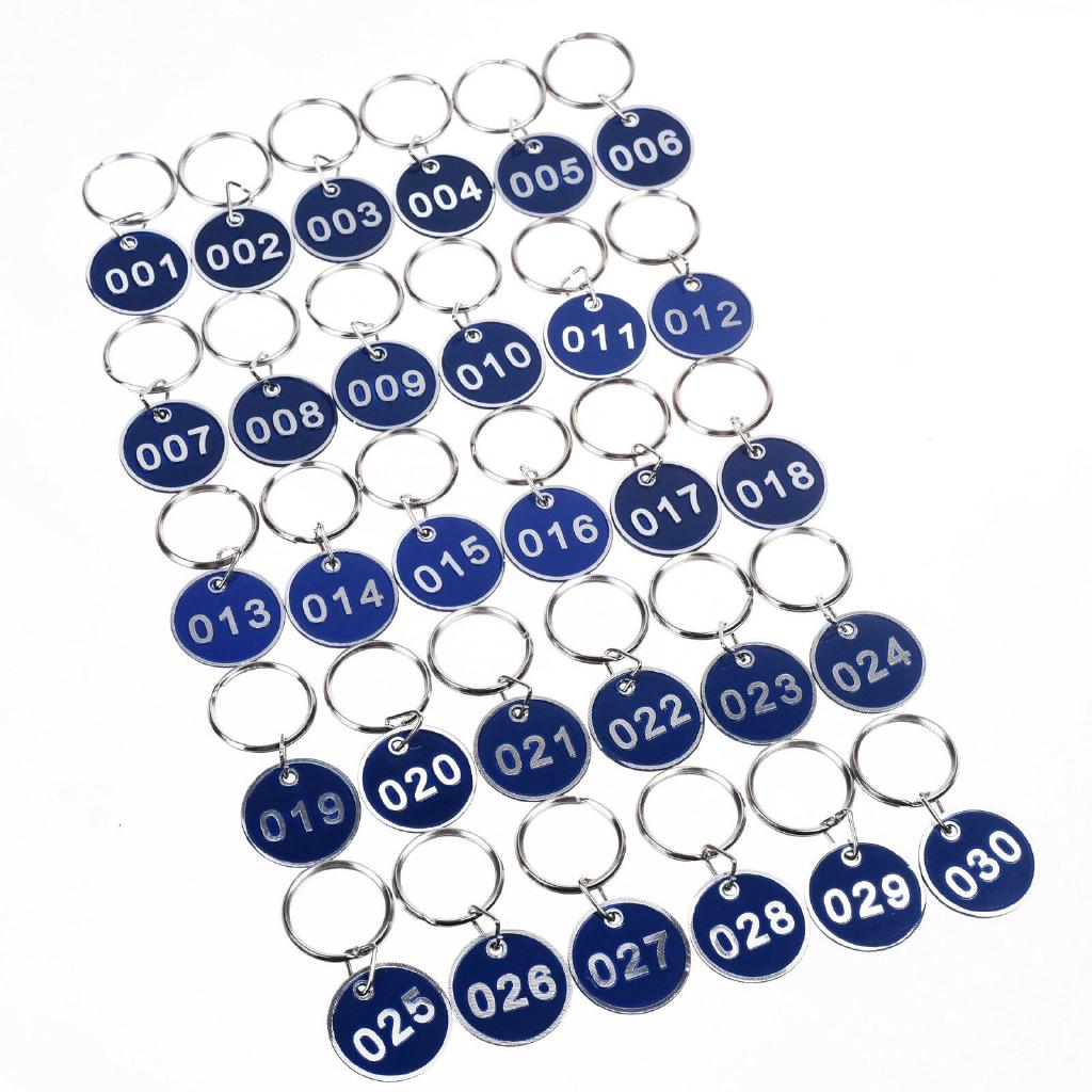Numbered Tags Metal Key Ring for Organizing and Sorting