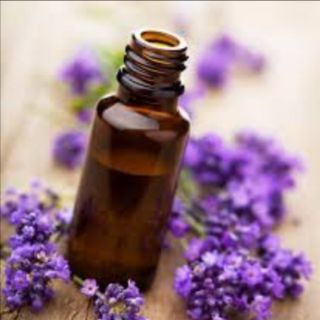 10ml Lavender essential/Lavender / English lavender fragrance oil