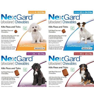 NEXGARD ANTI TICK & FLEA CHEWABLE for DOGS