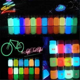 Glow in the Dark Luminous Paint Bright Pigment Skin Graffiti Party Decor (3)
