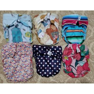 Washable dog cloth diapers (1)
