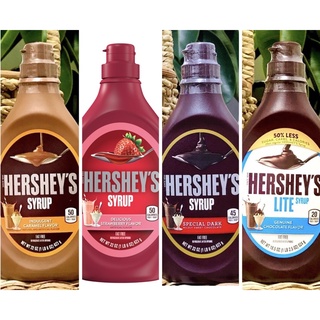 HERSHEY'S Syrup in Caramel Flavor, 22 oz