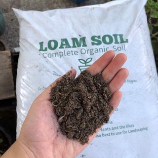1 Kilo Organic Loam Soil (Ready to Use)