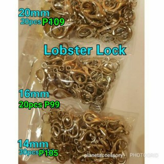 Lobster Locks.Nickle mask holder lock (2)