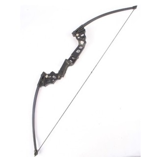 Archery Z251 Compound Bow (2)