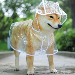 Transparent dog raincoat large and medium-sized dog Samoye teddy bear gold wool waterproof pet clothes large dog raincoat