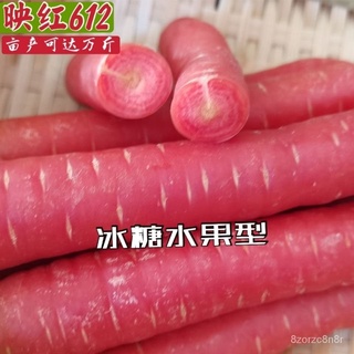 Fruit Carrot Seeds Rose Red Fruit Radish Seeds Carrot Seeds Four Seasons Sowing Balcony Vegetables S