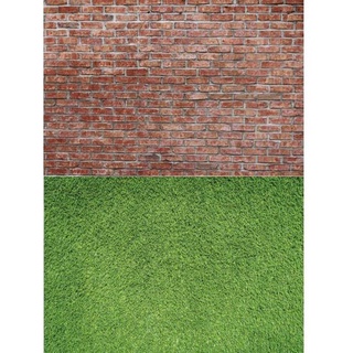 Red Brick Photo Alas & Grass / BACKGROUND Photo (WAL-20)
