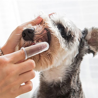 Soft Finger Toothbrush Pet Dog Oral Dental Cleaning Teeth (6)