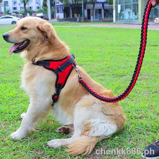 Large dog leash Chest strap✘✕Golden Retriever Dog Chain Chest strap for leash, large medium-sized dog, Labrador leash