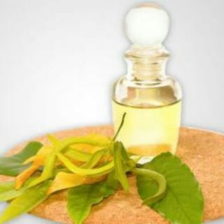 Ylang Ylang Fragrance Oil (30ml/100ml)