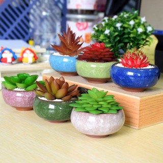 Cute Ice-Crack Glaze Flower Ceramic Succulent Plant Mini Pot (1)