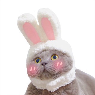 2021 New Funny Pet Dog Cat Cap Costume Warm Rabbit Hat New Year Party Christmas Cosplay Accessories