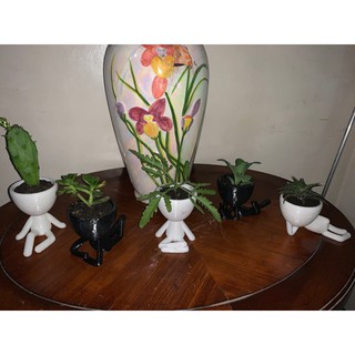 3D Printed Succulent Planter Pot in 15 Designs (6)