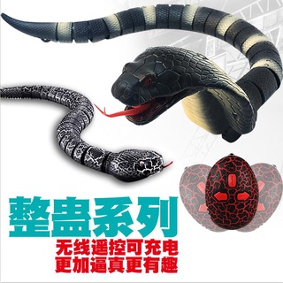 pet EyewearToy Trick Decompression Scary Remote Control Simulation Animal Cobra Spider Science and E