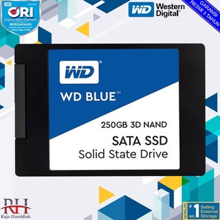 ´･ω･Delystore WD Blue 250GB 3D Nand SSD Quality