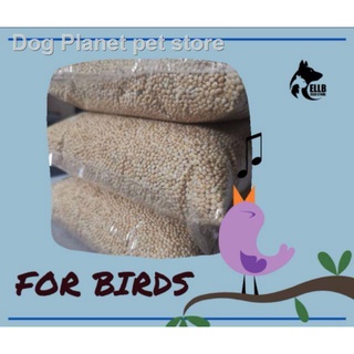 ✥❂❈Bird Seeds White Millet 1KG packaging (5)