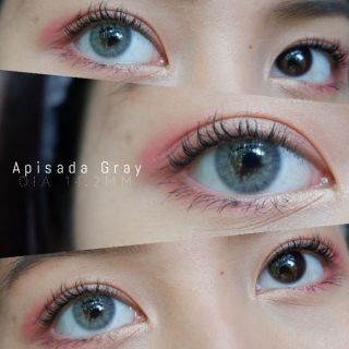 Apisada Gray ✧ Sweety Plus Lens