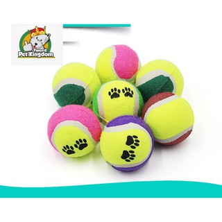 Pet Dog Cat Tennis Play Toy throwing catch Pet Kingdom