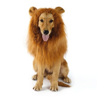 Dog Lion Wigs Mane Hair For Party Halloween Festival (3)