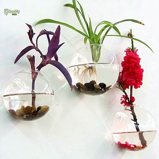 Home Glass Flower Planter Vase Home Garden Ball Decor Wall Hang Terrarium Container