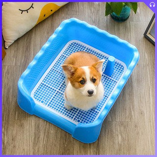 Dog Potty Training Tray 37 By 38 Cm (1)