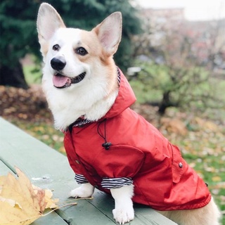 Winter Dog Raincoat Waterproof Dog Clothes Coat Jacket Pomeranian Poodle Bichon Schnauzer Corgi Dog