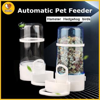 Gululu Hamster Automatic Feeder Food Bowl Thorn Hedgehog Pine Bird Feeding Utensils 2 Color