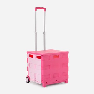 Hot Pink Trolley Grocery Push cart - Goodies by E
