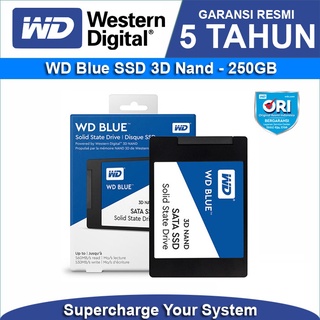 ´･ω･Delystore 250GB SATA III 3D 6Gbs Discount WD Blue SSD (1)
