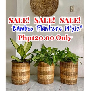 BAMBOO PLANTERS ON SALE (1)