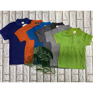 Female shorts ♞kids boys fashionable acid polo shirt 6 colors size 8 10 12 14 16❁