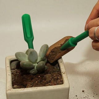 7pcs Succulent Transplanting Fairy Garden Planting Hand Tools Set (3)