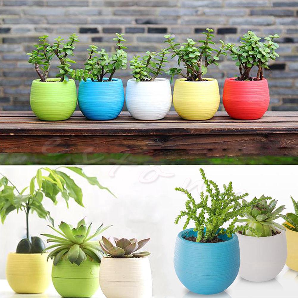 (Buy 1 Get 1) Mini Colourful Round Plastic Plant Flower Pot Garden Home Office Decor Planter Desktop (3)