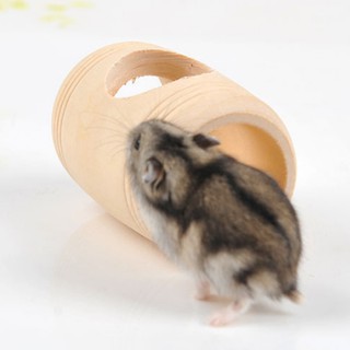 Hamster Small Cage Bed Toy Rat Hamsters Wooden House Toys (7)
