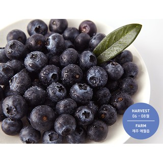 Innisfree Blueberry Rebalancing Watery Sun Cream SPF45 PA+++ 40ml (5)