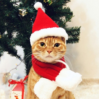 Jingjiangqinhui Christmas hat and scarf set cat and dog small pet costume,Dog Cat Pet Santa Hat with Scarf, Christmas Costume Set Pet Clothing with Santa Hat and Scarf for Cat Puppy Dog, Red Christmas Hat (3)