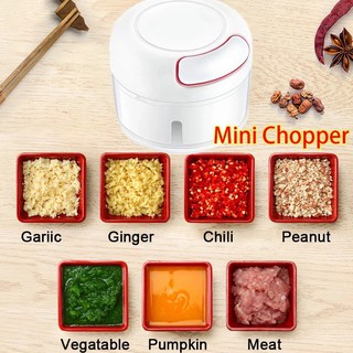 Mini Manual Food Chopper Garlic Grinder Press Mincer Food Processor for Chili Ginger Vegetable Fruit