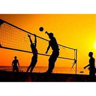 Aktive Volleyball Net (3)
