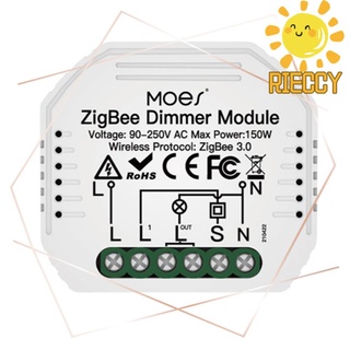 Rieccy 2 Gang DIY WiFi Dimmer Module Smart Life/Tuya APP Remote 2 Way Light Switch