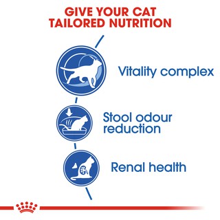 Royal Canin Indoor 27 Adult Dry Cat Food (10kg) - Feline Health Nutrition (5)