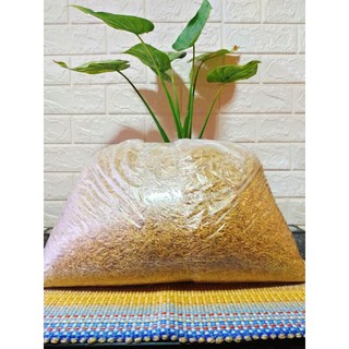 Yanna's Rice Hull/Ipa (1 Kilo)