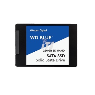 ´･ω･WD Blue PC 3D NAND SSD 2.5" 7MM SATA (250GB/500GB/1TB) (4)