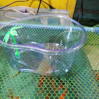 Plastic turtle tub small and large