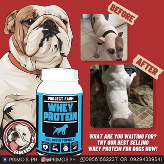 WHEY PROTEIN FOR DOGS (2)